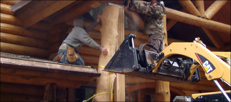 Log Home Log Replacement  Chesterfield County, Virginia