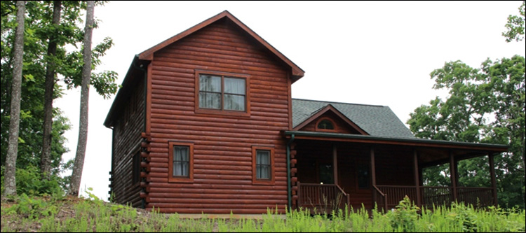 Professional Log Home Borate Application  Chesterfield County, Virginia